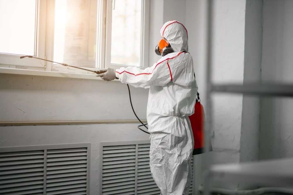 Professional mold remediation services in Moscow, AR